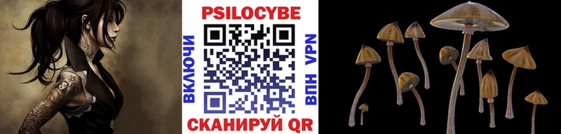 Псилоцибиновые грибы GOLDEN TEACHER  наркошоп  Зверево 